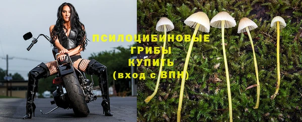 кокс Няндома