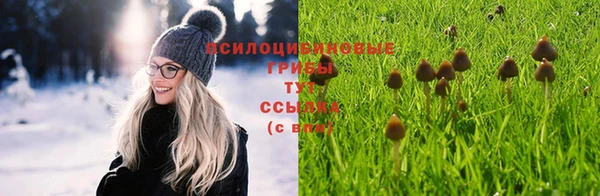 кокс Няндома