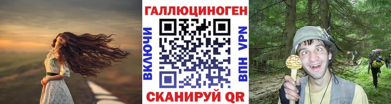 Купить закладки  Каменск-Шахтинский  Галлюциногенные грибы ЛСД 